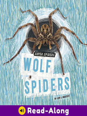 cover image of Wolf Spiders